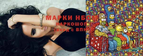 гашик Переславль-Залесский