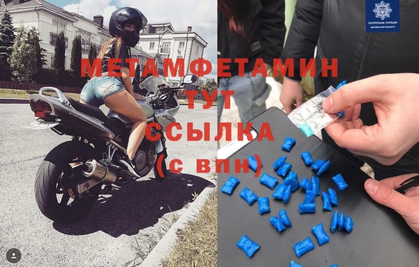 шишки Пересвет