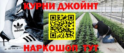 первитин Гатчина