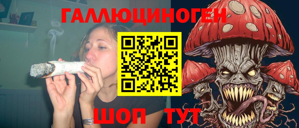 Псилоцибиновые грибы ЛСД Новокубанск